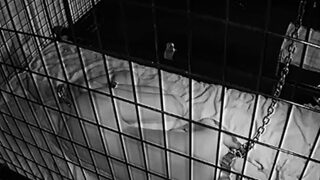 Amateur Blonde With BIG BOOBS Hot Free Cam Show