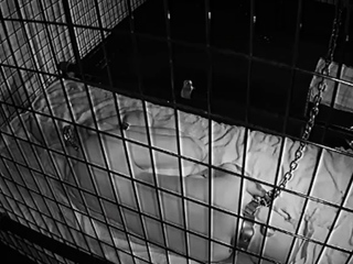 Amateur Blonde With BIG BOOBS Hot Free Cam Show