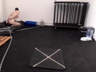 Amateur Blonde With BIG BOOBS Hot Free Cam Show