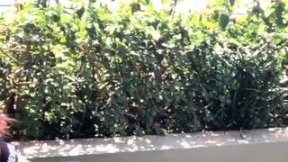 Amateur redhead girlfriend blowjob and anal with creampie