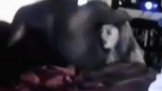 BBW Fucking Her Black Bull on Webcam