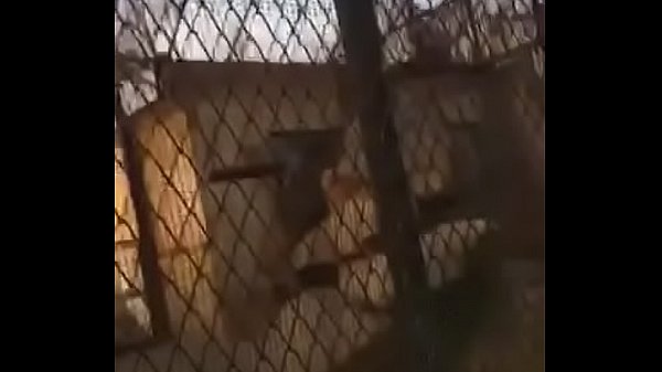 白先生打飞机专用美女网红大长腿