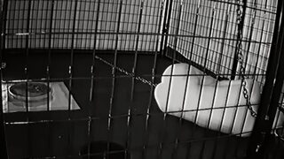 Hot cumshot for amateur fetish mature stockings slut