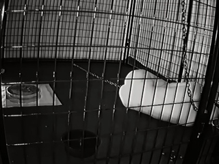 Hot cumshot for amateur fetish mature stockings slut