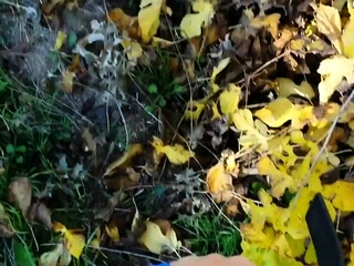 Blonde teen Sonja suck a big cock