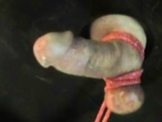 My orgasms awfully ruined by mistress Sophia