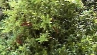 Tia Gunn is an experienced blonde nurse when it comes to