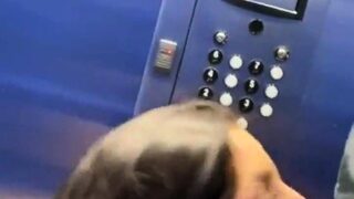 Amateur MILF blowjob cumshot