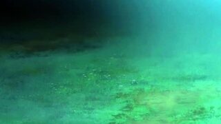 Hot POV amateur handjob