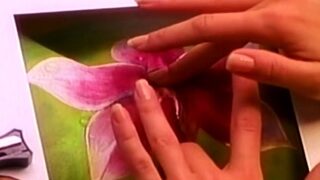 outdoor threesome sex