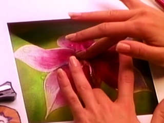 outdoor threesome sex