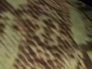 The big titted MILF takes on a big cock