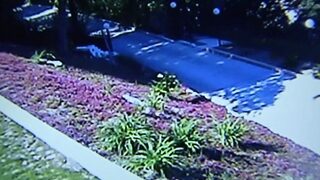 WHITE BLONDE MILF GET ANAL CREAMPIE FROM BBC