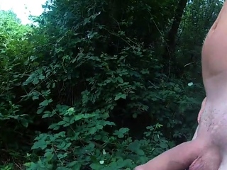 outdoor wanking in the woods near the train track